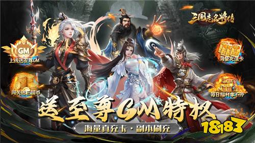 三国志名将传（神将余额无限提）