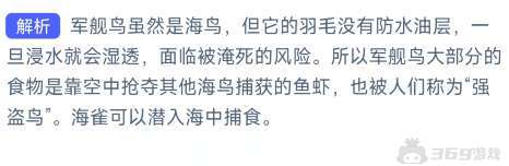 哪种海鸟的羽毛不能沾水主要靠抢夺食物为生 神奇海洋10月20日答案最新版